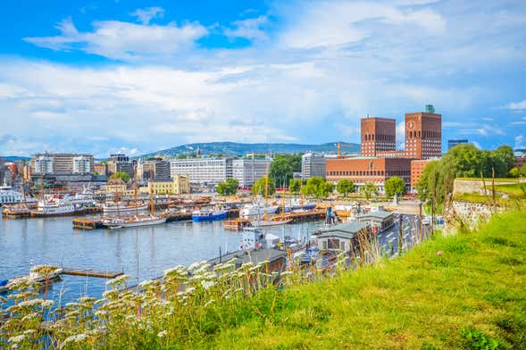 Summer Cruise on the Oslo Fjord