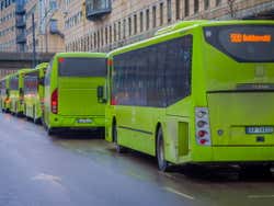 A line of five green buses on a wet road