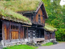 An old wooden house with grass growing on the roof